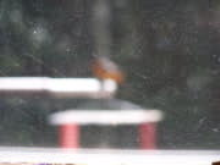 100_6707.jpg